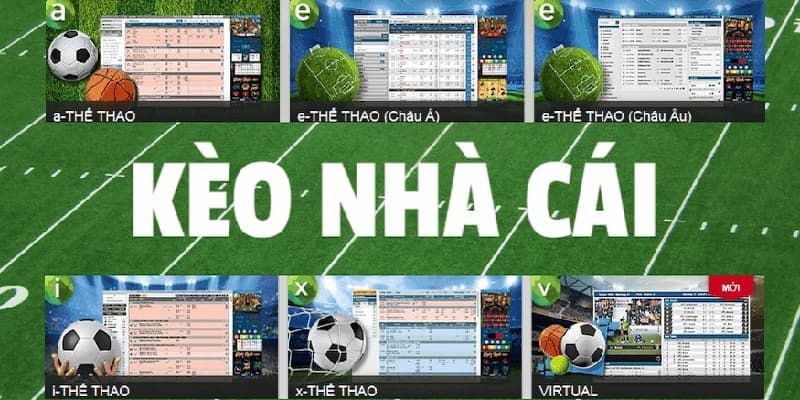 Tỷ lệ kèo thể thao Các loại tỷ lệ kèo thể thao phổ biến tại nổ hũ