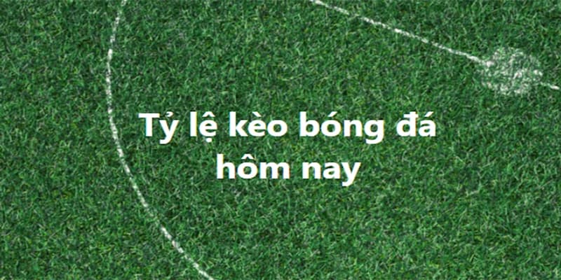 Tỷ lệ kèo thể thao Chiến thuật đặt cược dựa trên tỷ lệ kèo thể thao tại nổ hũ